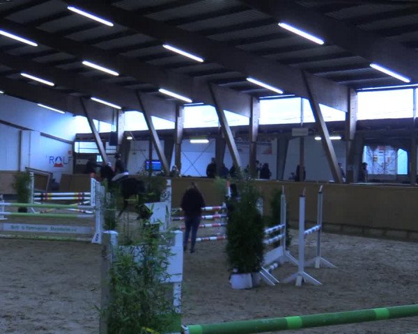 Reitturnier Steinheim 2021