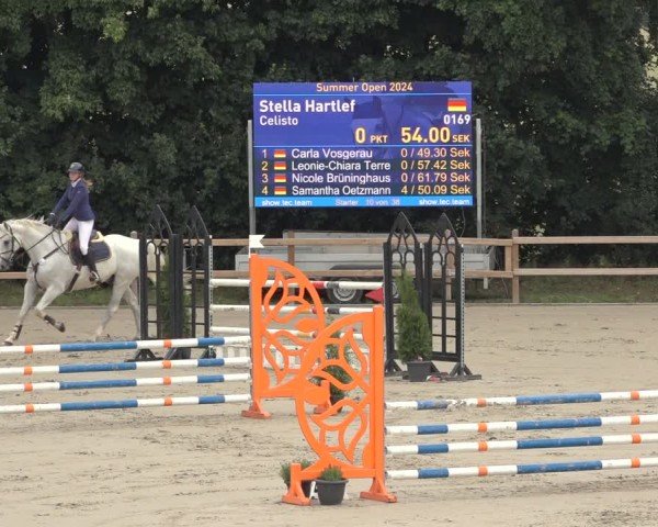 Reitturnier Scharnebeck 2024