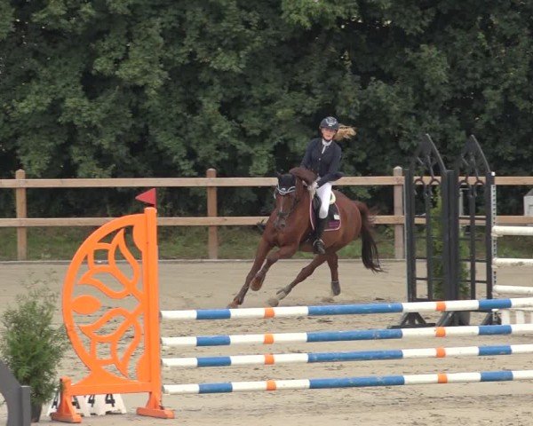 Reitturnier Scharnebeck 2024