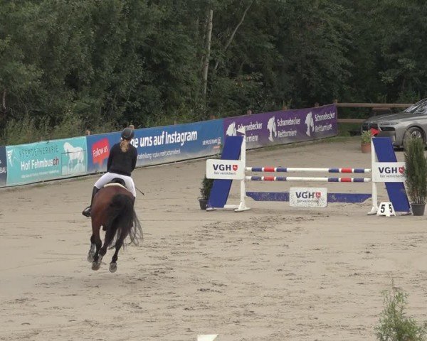 Reitturnier Scharnebeck 2024