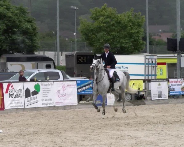 Reitturnier Balsthal 2024