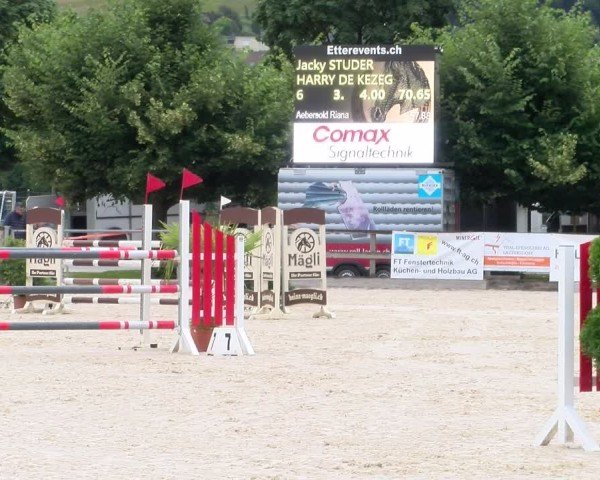 Reitturnier Balsthal 2024