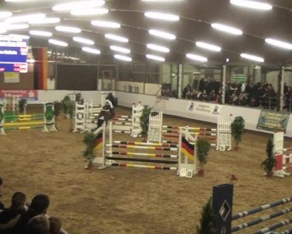 20. Winter Hallen Reit- und Springturnier RFV Alt-Marl 28.-30.12.2012