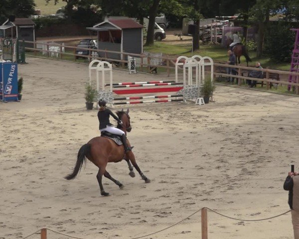Reitturnier Scharnebeck 2024