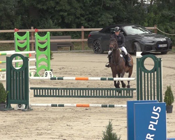 Reitturnier Scharnebeck 2024