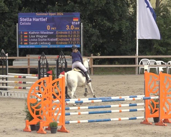 Reitturnier Scharnebeck 2024