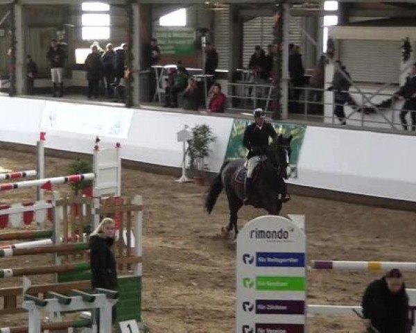 20. Winter Hallen Reit- und Springturnier RFV Alt-Marl 28.-30.12.2012