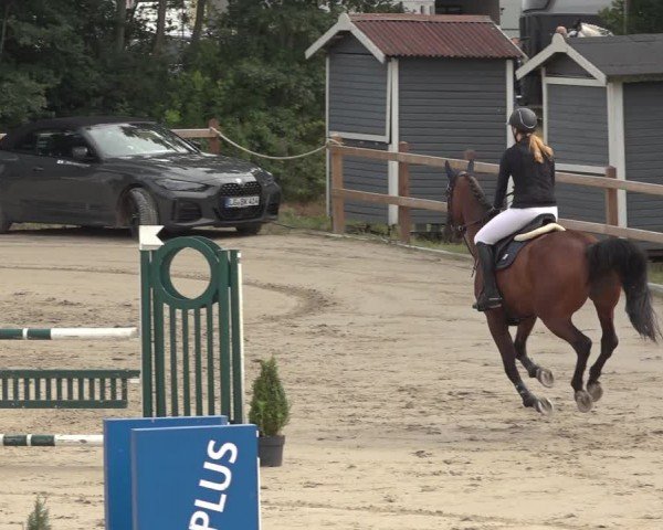 Reitturnier Scharnebeck 2024