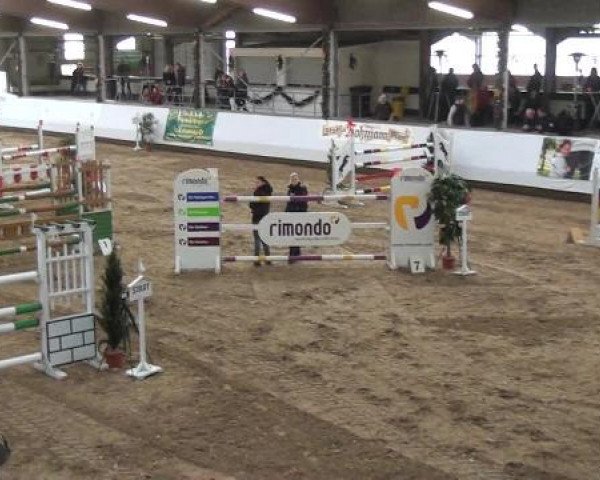 20. Winter Hallen Reit- und Springturnier RFV Alt-Marl 28.-30.12.2012