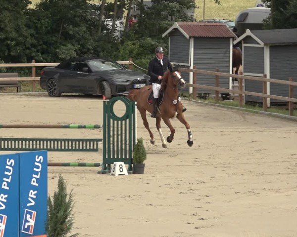Reitturnier Scharnebeck 2024