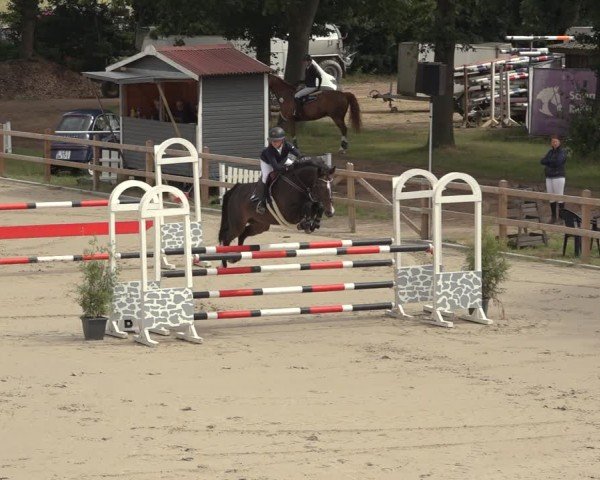 Reitturnier Scharnebeck 2024