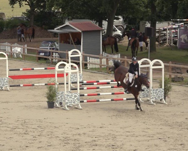 Reitturnier Scharnebeck 2024