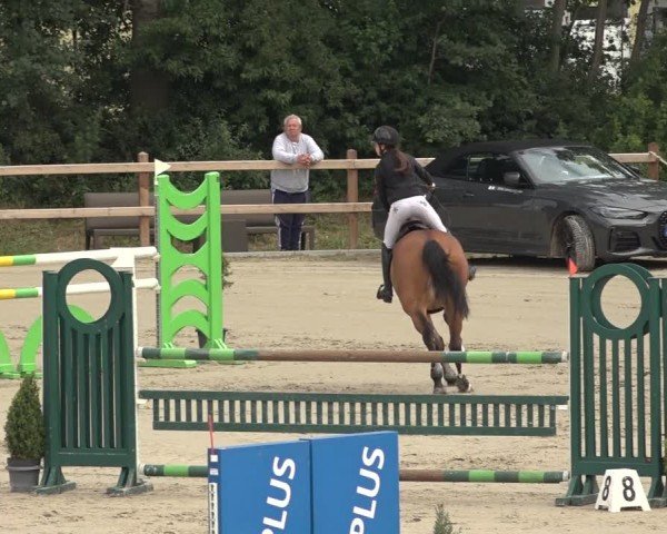 Reitturnier Scharnebeck 2024