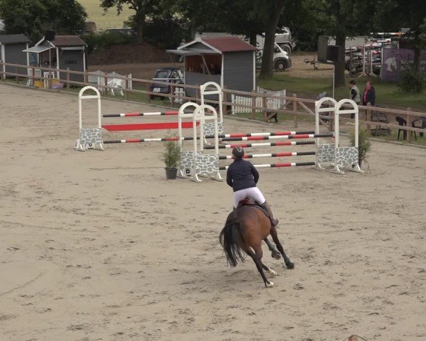 Reitturnier Scharnebeck 2024