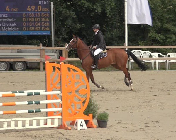 Reitturnier Scharnebeck 2024
