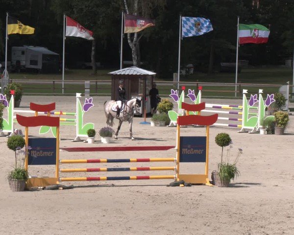 Reitturnier Luhmühlen 2024