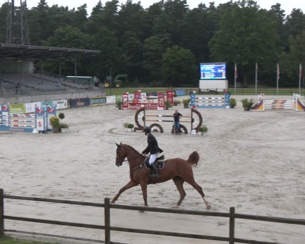 Reitturnier Luhmühlen 2024