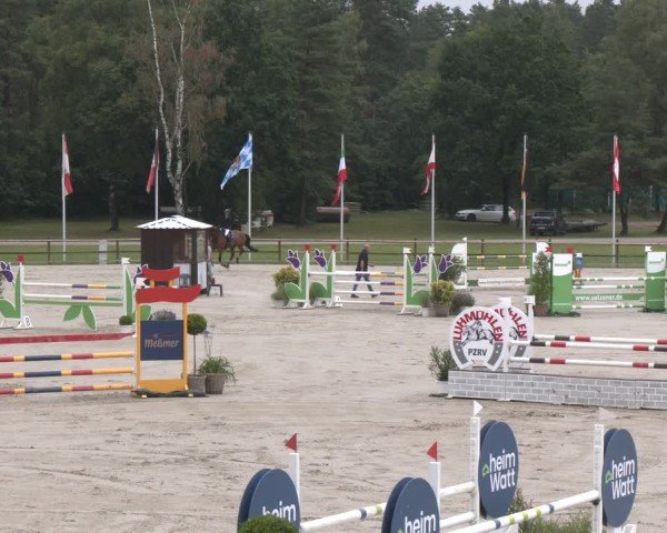 Reitturnier Luhmühlen 2024