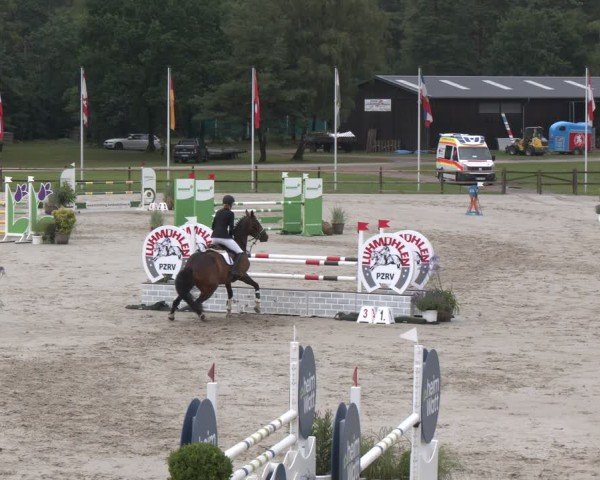 Reitturnier Luhmühlen 2024