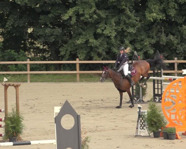 Reitturnier Scharnebeck 2024