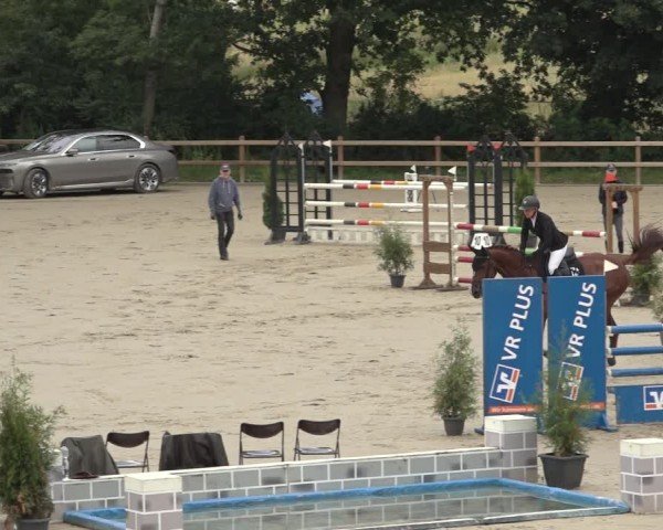 Reitturnier Scharnebeck 2024