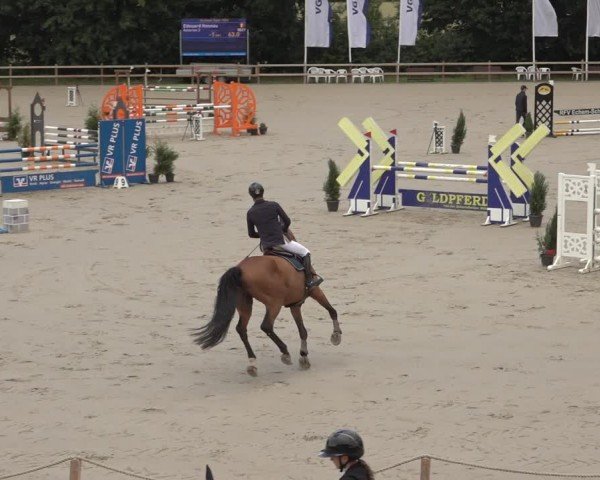 Reitturnier Scharnebeck 2024