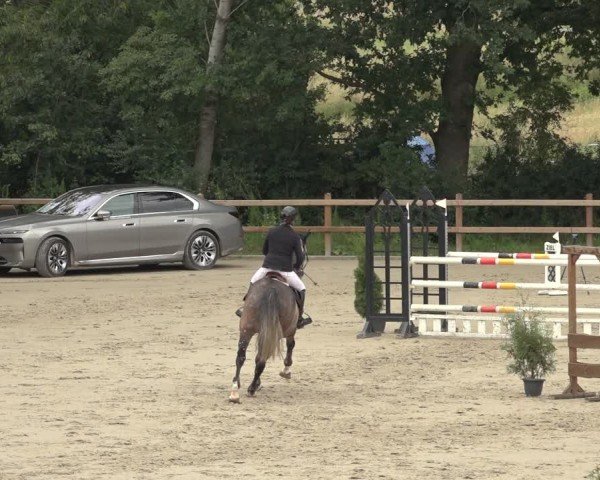 Reitturnier Scharnebeck 2024