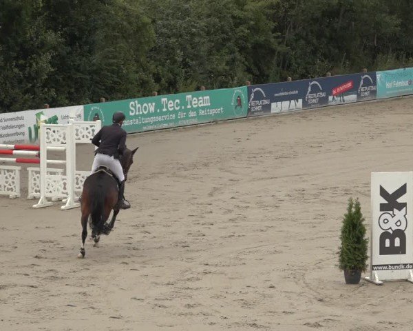 Reitturnier Scharnebeck 2024