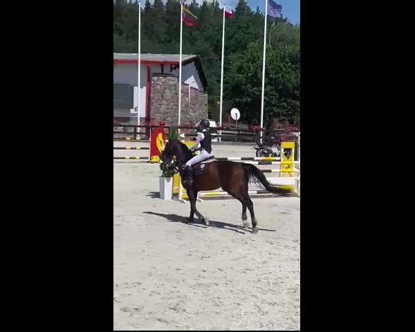 Video of Kannante