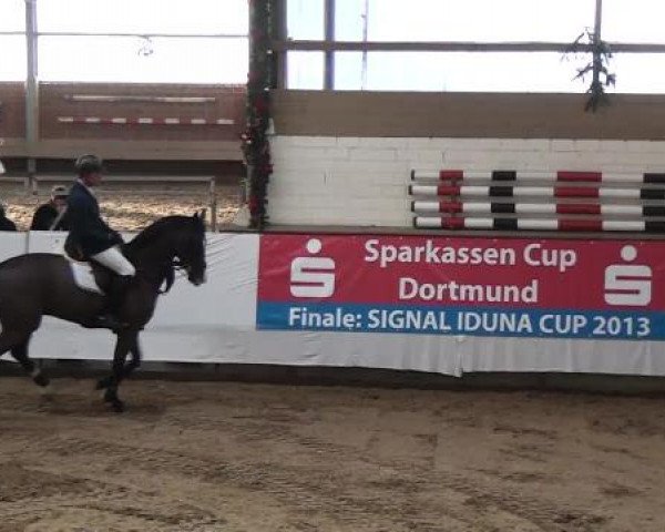 Reitturnier Alt Marl 2012