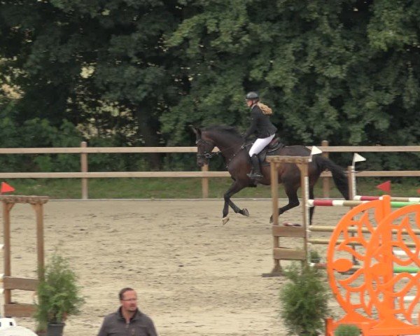 Reitturnier Scharnebeck 2024