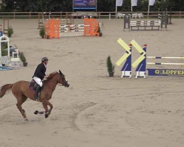 Reitturnier Scharnebeck 2024