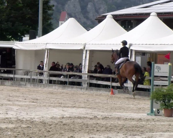 Reitturnier Balsthal 2024