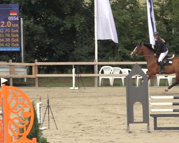 Reitturnier Scharnebeck 2024