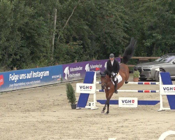 Reitturnier Scharnebeck 2024