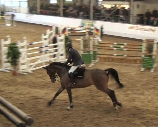 20. Winter Hallen Reit- und Springturnier RFV Alt-Marl 28.-30.12.2012
