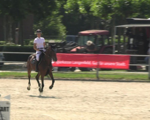 Reitturnier Langenfeld 2024