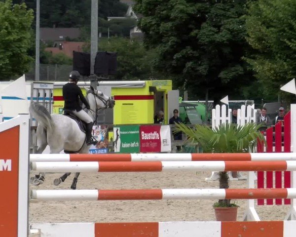 Reitturnier Balsthal 2024