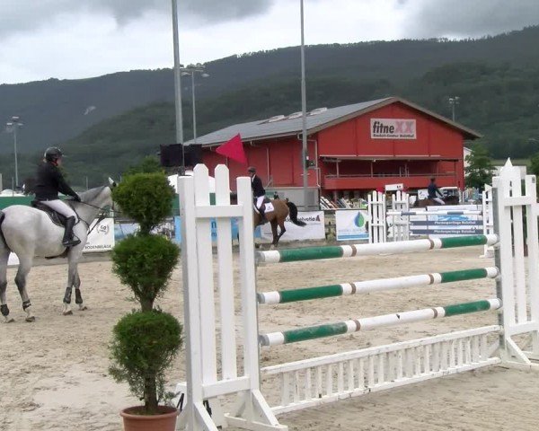 Reitturnier Balsthal 2024