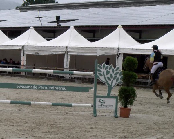 Reitturnier Balsthal 2024
