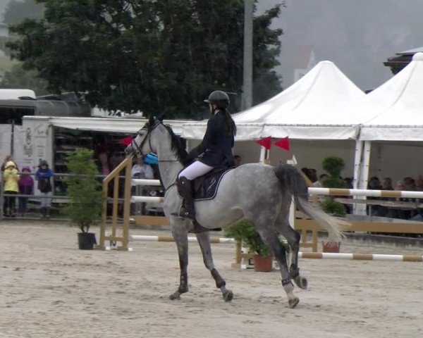 Reitturnier Balsthal 2024