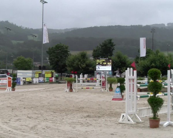 Reitturnier Balsthal 2024