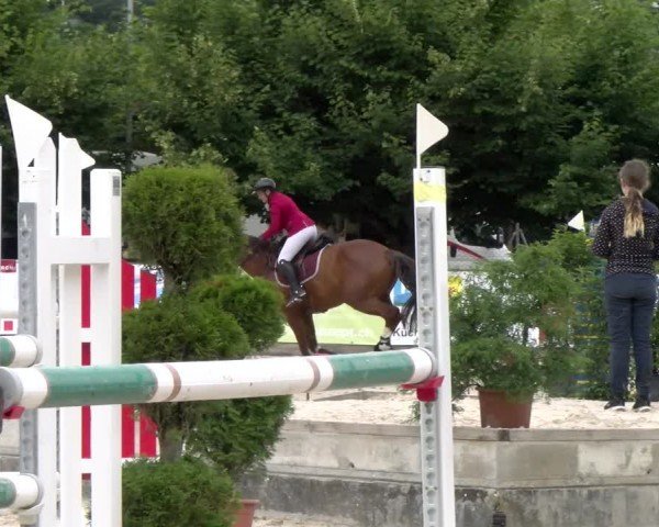 Reitturnier Balsthal 2024