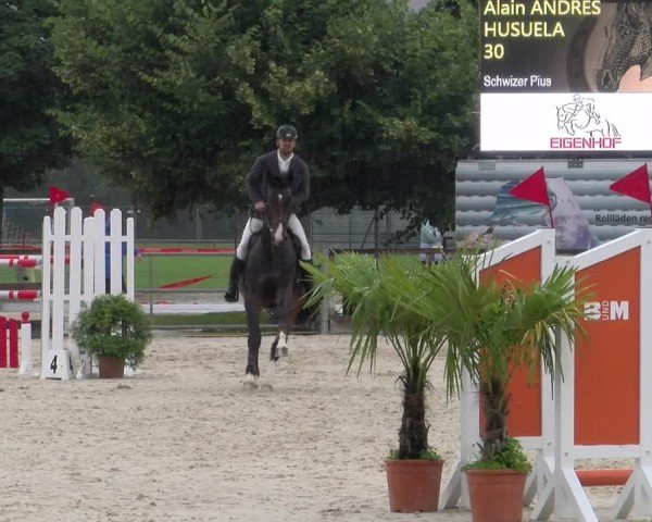 Reitturnier Balsthal 2024