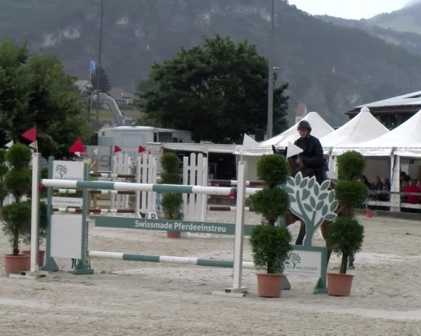 Reitturnier Balsthal 2024