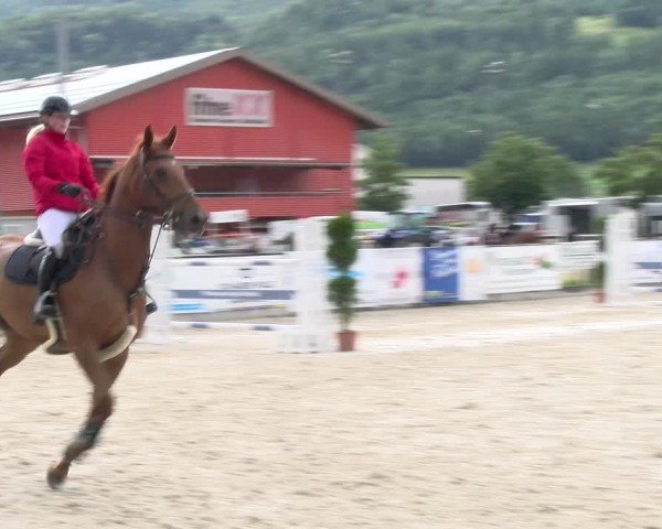 Reitturnier Balsthal 2024