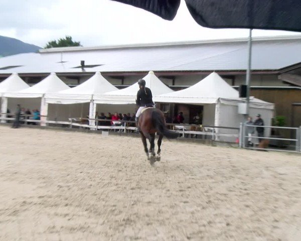 Reitturnier Balsthal 2024