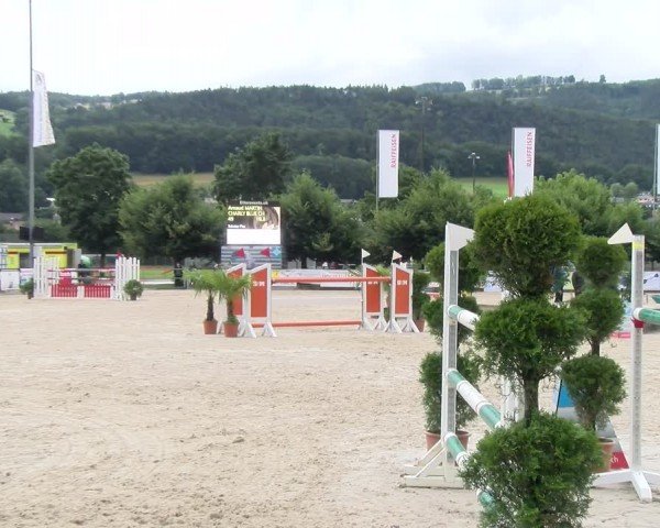 Reitturnier Balsthal 2024