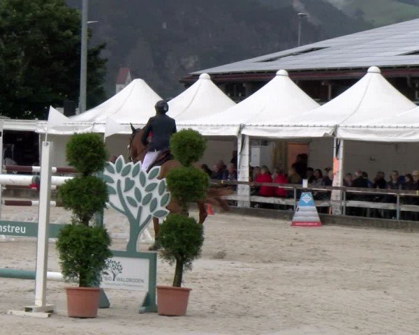 Reitturnier Balsthal 2024