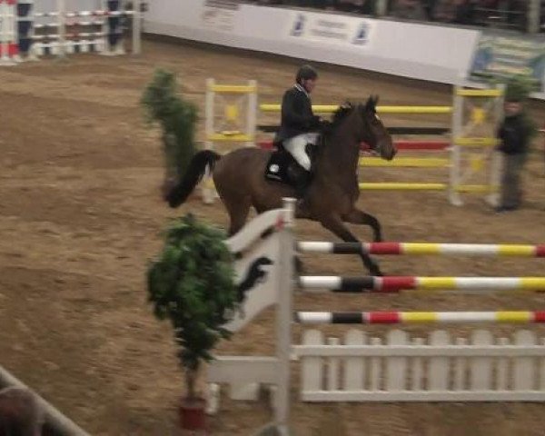 20. Winter Hallen Reit- und Springturnier RFV Alt-Marl 28.-30.12.2012